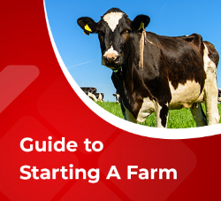 Guide to Starting A Farm